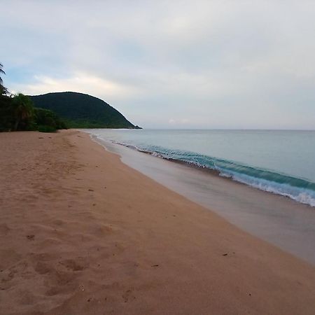 Ecolodges Karet Deshaies Esterno foto