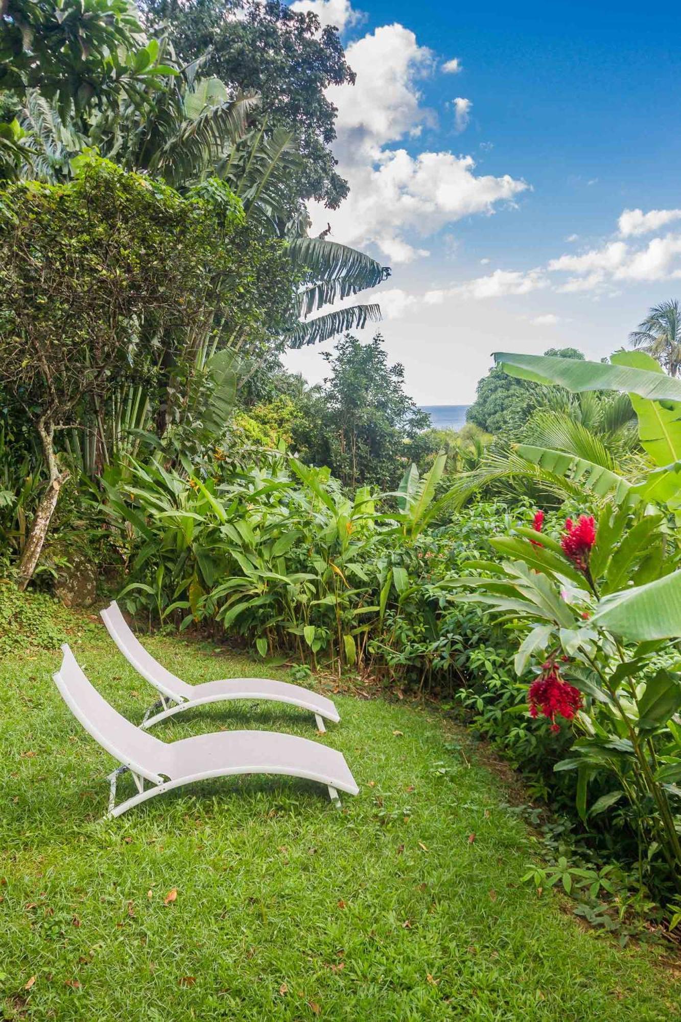 Ecolodges Karet Deshaies Esterno foto