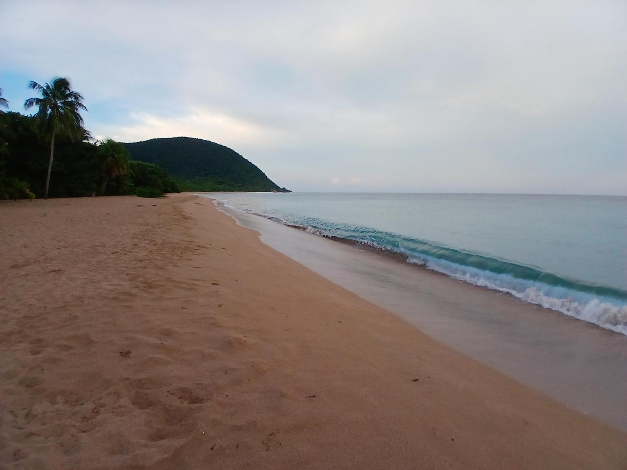 Ecolodges Karet Deshaies Esterno foto